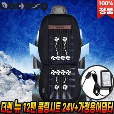 홈쇼핑차량방석