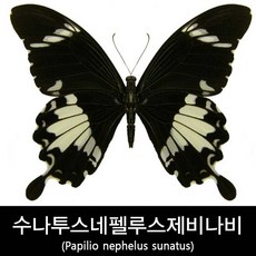 4d80d87b1e1c4f14a087aff73cb4fb05879f21bc2186669757a6bda464ed.jpg