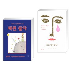 애린왕자최현애