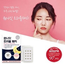 원나잇트러블패치