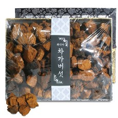 순수 프리미엄 100% 러시아 산 최상급 차가버섯 선물 세트 자작나무 치기 버섯 차 덩어리 차가 차기 차거 자가 버석 고급 보자기 새트 포장 한차 재료 Chaga mushroom, 3개, 1kg