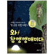 [지성사] 와 참깽깽매미다 매미 잠자리 풀잠자리 벌과 파리 딱