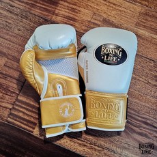 노복싱노라이프