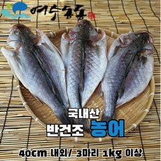 반건조농어