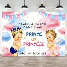 ASDCXZ 1.5x91.4cm5x3피트 성별 공개 배경 왕자 또는 공주 사진 What Will Baby Be Blue Pink 구름 별 만화 깃발 베이비 샤워 배너 장식 신생아, 5x3ft