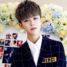 BLAVALLEY 남자가발 멋진 짧은 생머리 패션 통가발G20, 사진색