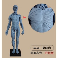 근골격계물리치료중재학