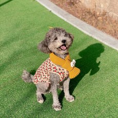 고양이김장조끼