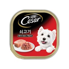 시저 애견간식 캔, 쇠고기 (1세 이상), 100g, 8개