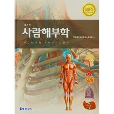 알기쉬운신경해부생리학