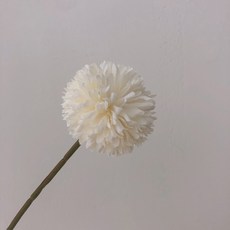 7cf665f127cb5cc4d93999f53463e51311e6548a72d737a1d430f1de5fc9.jpg