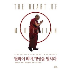 달라이 라마 명상을 말하다, 담앤북스