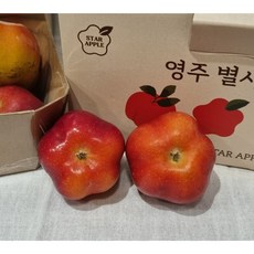 국내산 달달함 끝판왕 별 사과 1kg 영주별사과 별사과 미니사과 여주별사과 사과 영주사과 꼬마사과 사과별 미니사과. 과일, 소(21~23과), 1개