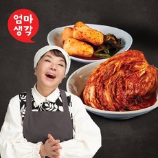 김수미 엄마생각 더프리미엄 포기김치7kg 총각김치2kg, 1개, 2kg