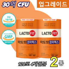  하루1포 락토핏 코어맥스 종근당 30억CFU 락토피 LACTO FIT 유산균 랏토핏 락토픽 라토핏 라토픽 라토피 락토피 라톳피 생유산균 식약처 인증 정품 홈쇼핑 방송 건강 대용량, 2개, 30개 