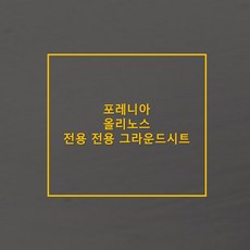 방수포 포레니아 올리노스 전용 그라운드시트 제작 타포린 풋프린트 천막 캠핑