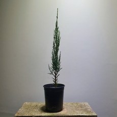 f0db73e810036ce82e061cc2eb09dd15e1d04f20861a773694d3e893fdb7.jpg