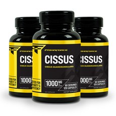 프리마포스 시서스 1000mg 120캡슐 3병, 120정