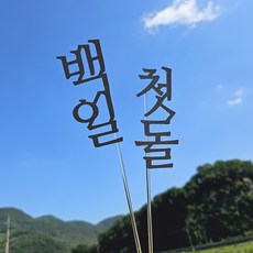 디자인39 첫돌 백일 심플 문구 토퍼 하트미니토퍼 포함 기념일 케이크픽 꽃다발 토퍼, 1개