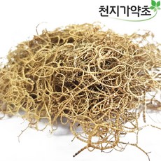 (롯데택배발송) 천지가약초 국내자연산 송라 10g 소나무겨우살이, 1개
