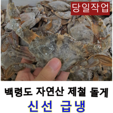 칠레자숙돌게