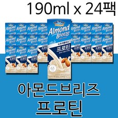 아몬드브리즈 TOP01