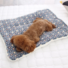 마코다 강아지 3겹 벨벳 담요 고양이 두꺼운 애착 이불 패드, 파랑별, 1개