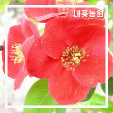 a05448569919044a61f723e66748a5019a8110bbd3754e27a15ac944628c.jpg