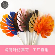 89e41e0d5d09597130aeac4ef3c9ffb2c8a6a9224a9bf53878e9d53bb74f.jpg