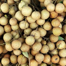 미스터과일왕 베트남 냉동 용안 (Vietnam Frozen Longan), 냉동용안 3kg (500g x 6pack), 6개