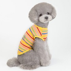 코코아르 여행 T, 오렌지