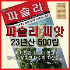 23년산 파슬리 씨앗 500립- parsley seeds, 1개