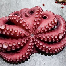 에코파워팩뉴슬림