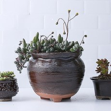 [바보사랑]꿀단지모양 다육이 화분 1p