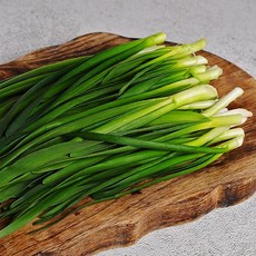 두메부추 500g 푸릇푸릇 초록빛 봄철 나물, 상세설명 참조
