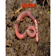 Worm: Fun Facts & Cool Pictures Paperback, Independently Published, English, 9798562621627