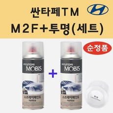 리뷰안m2f19