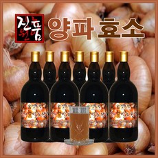 양파발효액