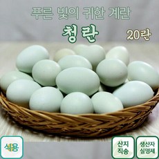 건강한유정란