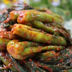 곽진영김치 종말이 묵은지 갓김치 3kg