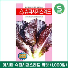 적로메인상추씨앗 슈퍼시저스레드 1000립 로메인상추