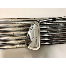 BIRDIEMaKe 골프 클럽 Honma TW747VX Honma Tour World 747VX 골프 세트 4-11 R S 플렉스 헤드, DG R300