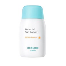 궁중비책워터풀