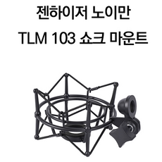 노이만스피커