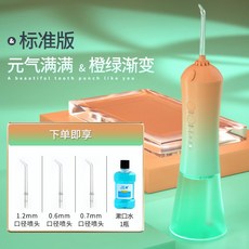 구강세정기비교