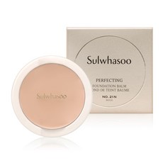 설화수 퍼펙팅 스킨커버 (리필) 14g, 없음, 21N