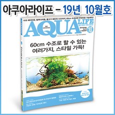 아쿠아라이프 2019년 10월호