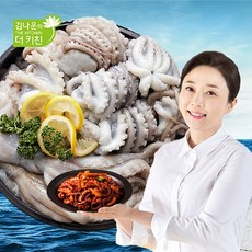 김나운 손질 통낙지 5팩 (1팩당 5미/280g), 280g(5미), 5개