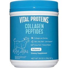 Vital Proteins Collagen 바이탈 프로틴 콜라겐 펩타이드 파우더 무맛 20oz 567g, 1개