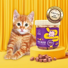 마시캣독 큐브 고양이 유산균 1통 변비 면역력 포스트바이오틱스, 단품, 단품